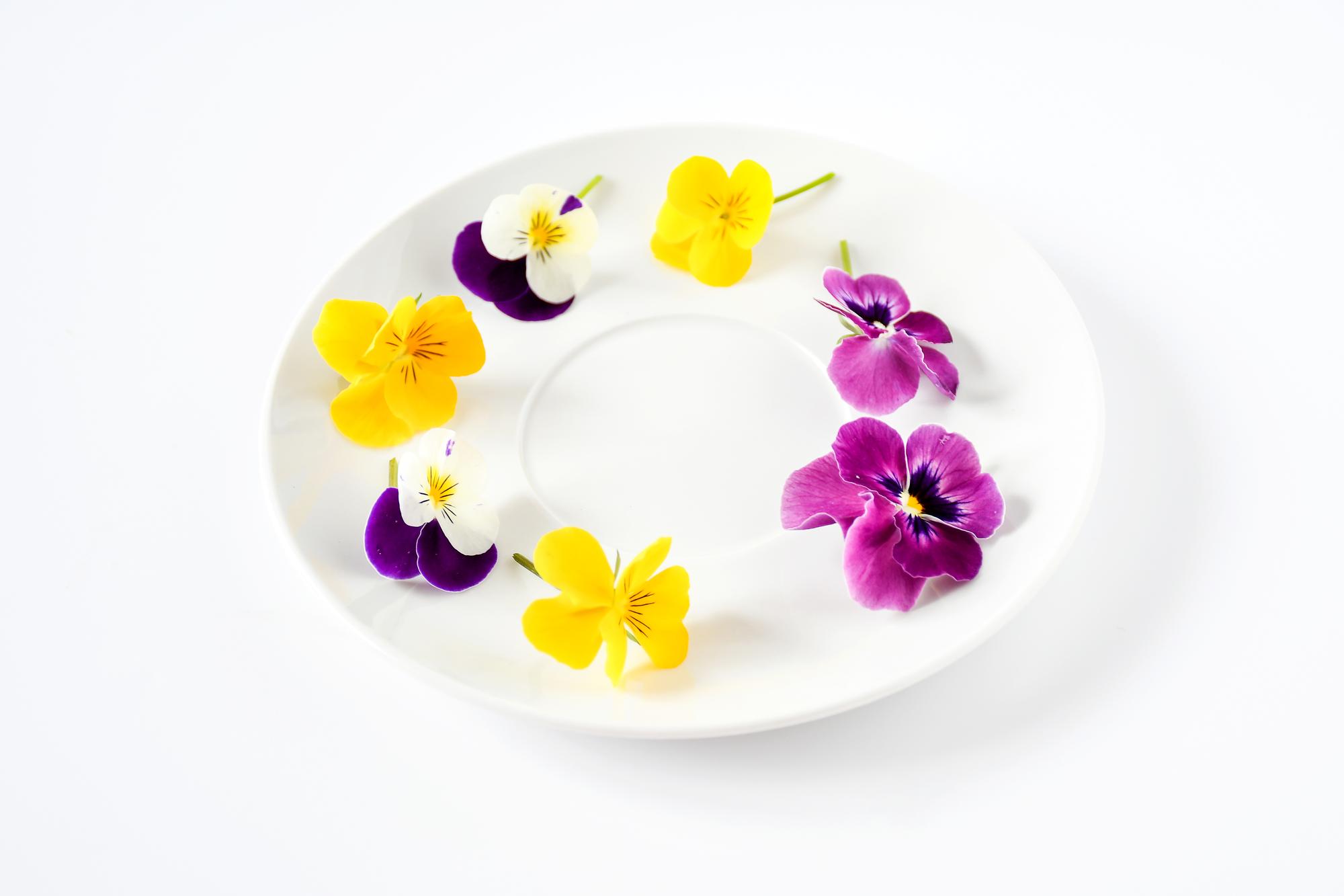 Close-up of plated starter with edible flowers